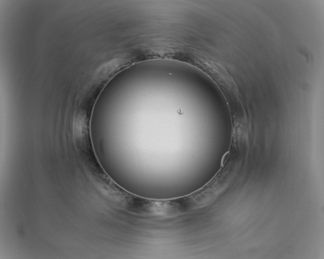 X0000113010623200908271410