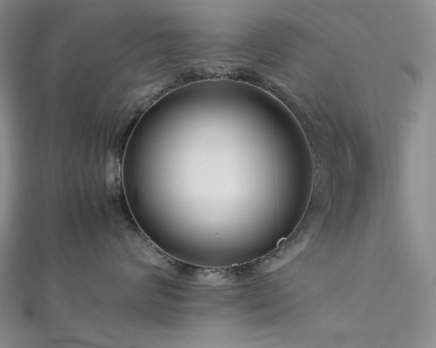 X0000113010624200908271410