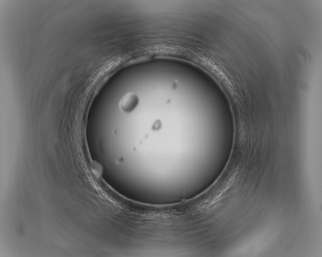 X0000113010625200908271409