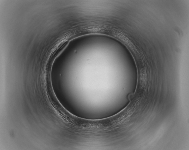 X0000113010626200908271409