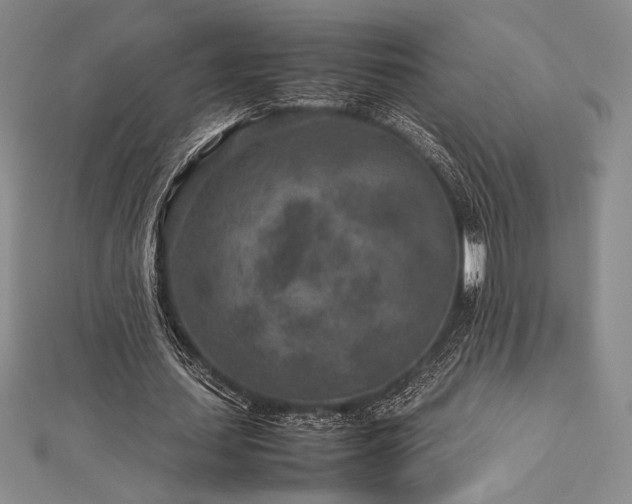 X0000113010627200908271409