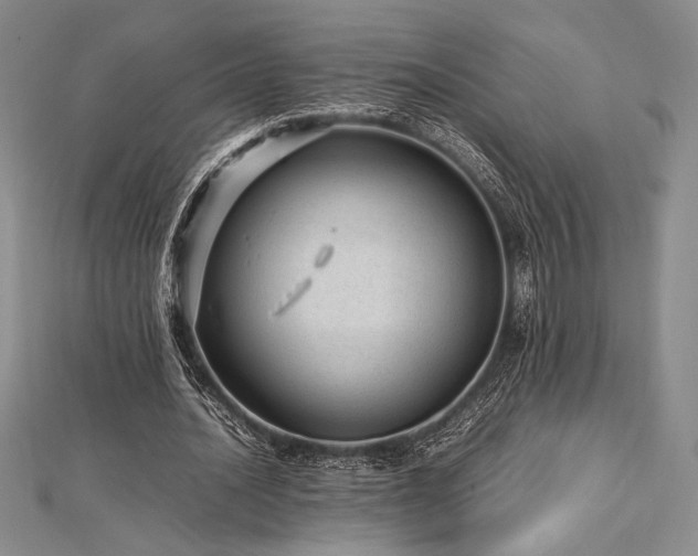 X0000113010628200908271409