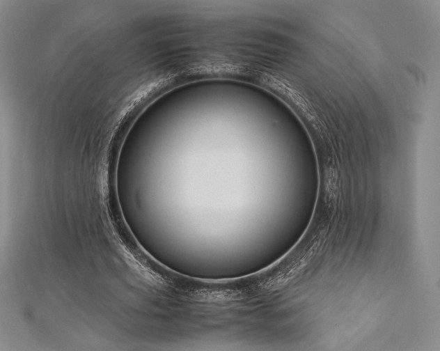 X0000113010629200908271409