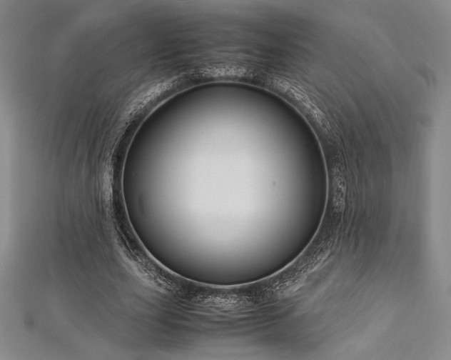 X0000113010631200908271410