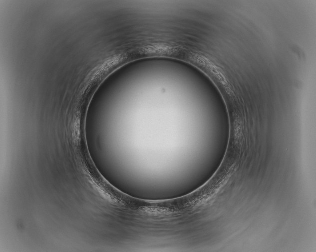 X0000113010633200908271410