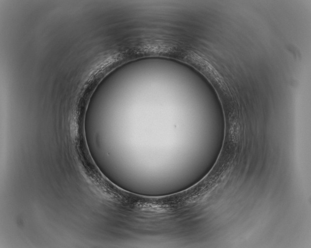 X0000113010635200908271410