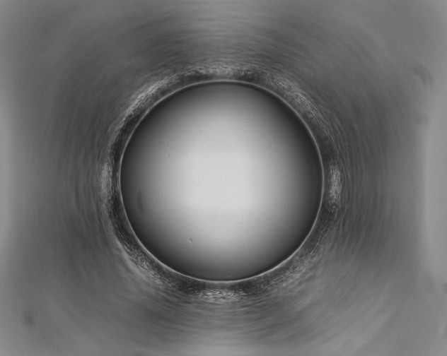 X0000113010636200908271410