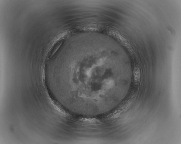 X0000113010637200908271410