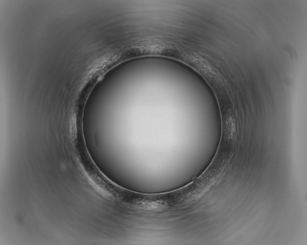 X0000113010638200908271410