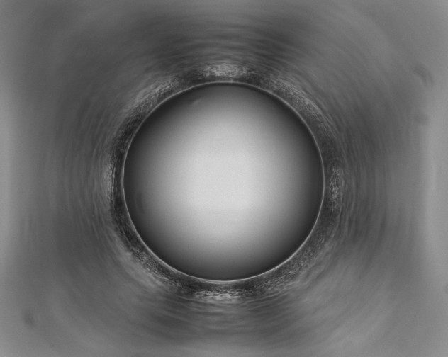 X0000113010639200908271410