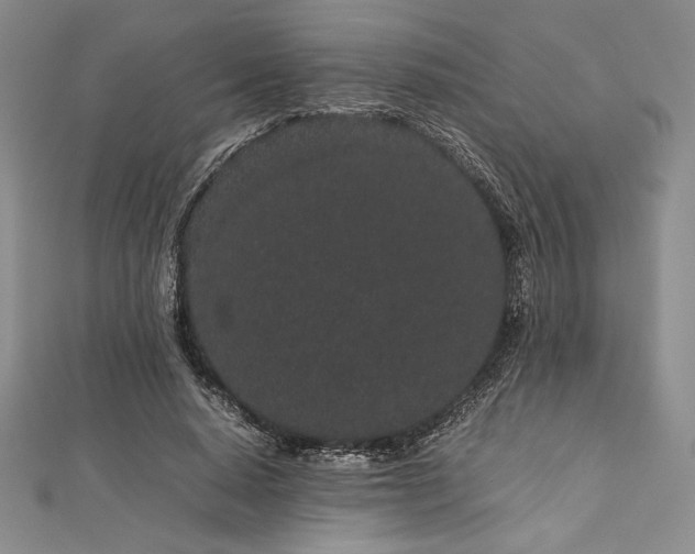 X0000113010640200908271410