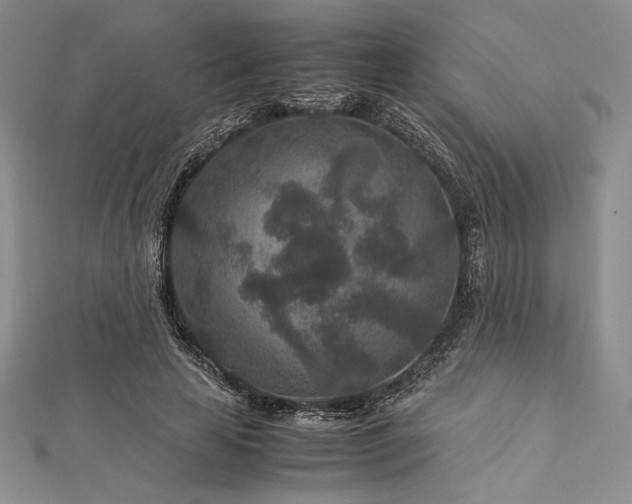 X0000113010641200908271410