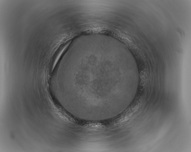 X0000113010642200908271410