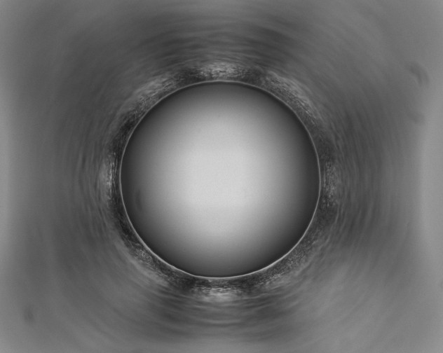 X0000113010645200908271410