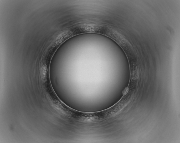 X0000113010646200908271410