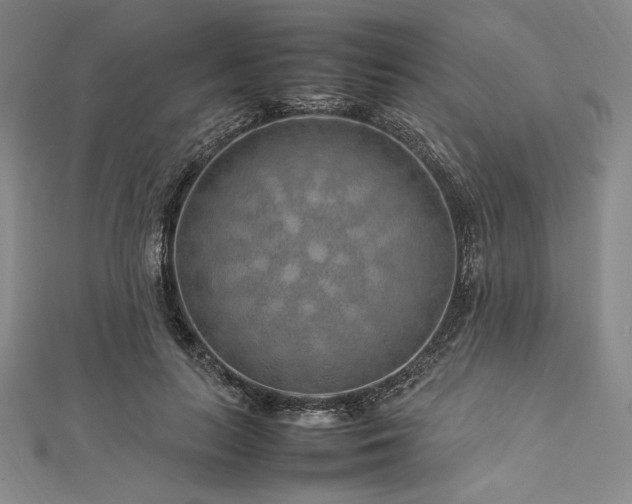 X0000113010647200908271410