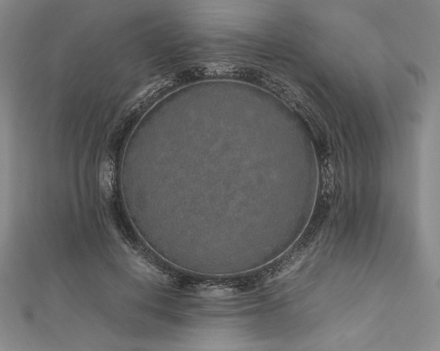 X0000113010648200908271410