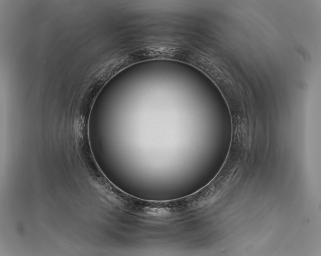 X0000113010649200908271410