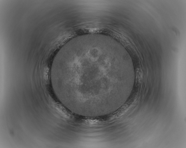 X0000113010650200908271410