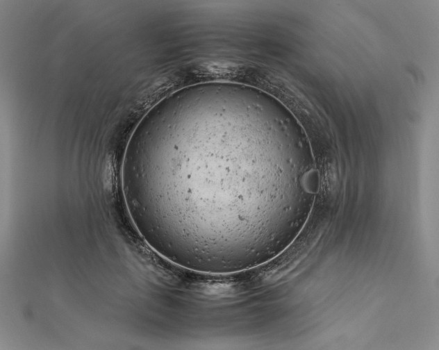 X0000113010651200908271410