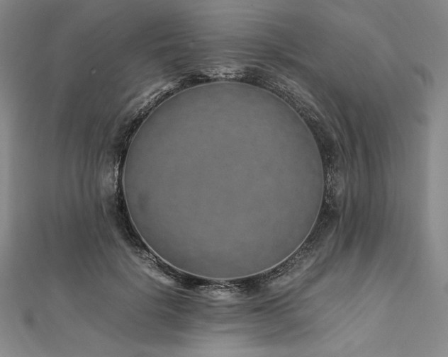 X0000113010652200908271410