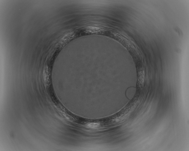 X0000113010653200908271410