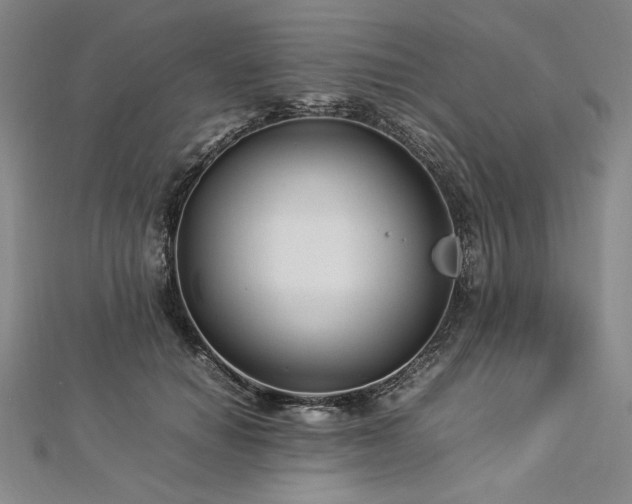 X0000113010654200908271410