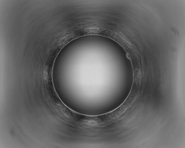 X0000113010655200908271410