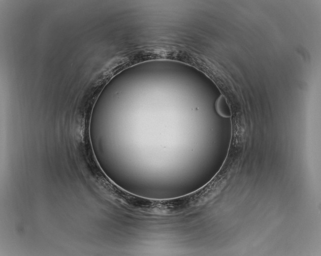 X0000113010656200908271410