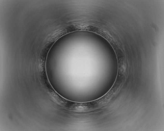 X0000113010658200908271410