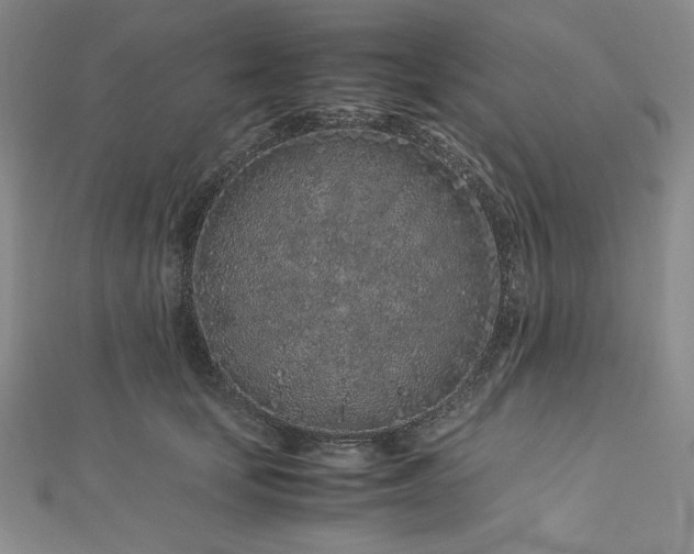 X0000113010659200908271410