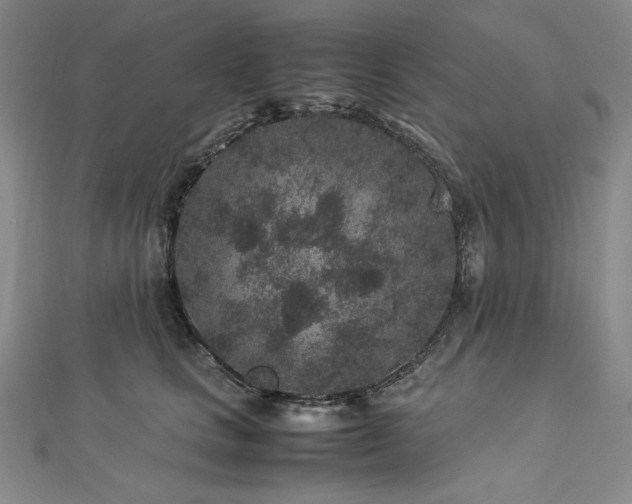 X0000113010661200908271410