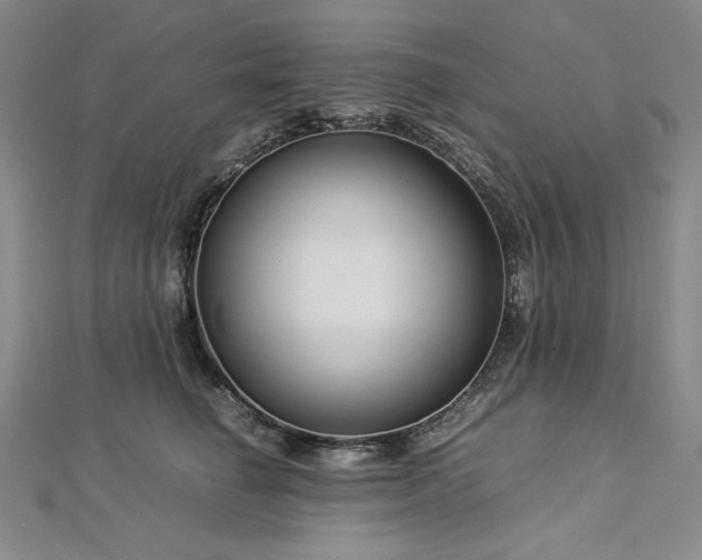 X0000113010662200908271410