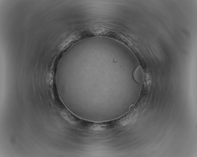 X0000113010664200908271410