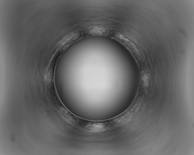 X0000113010665200908271410