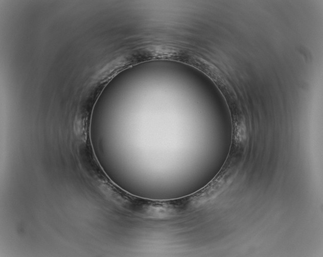 X0000113010666200908271410