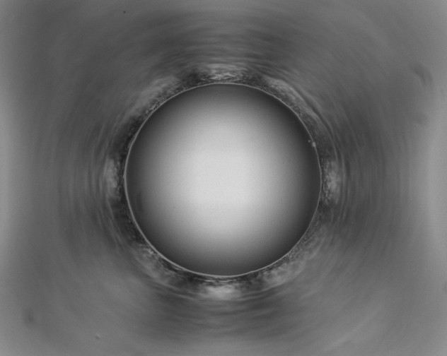 X0000113010667200908271410