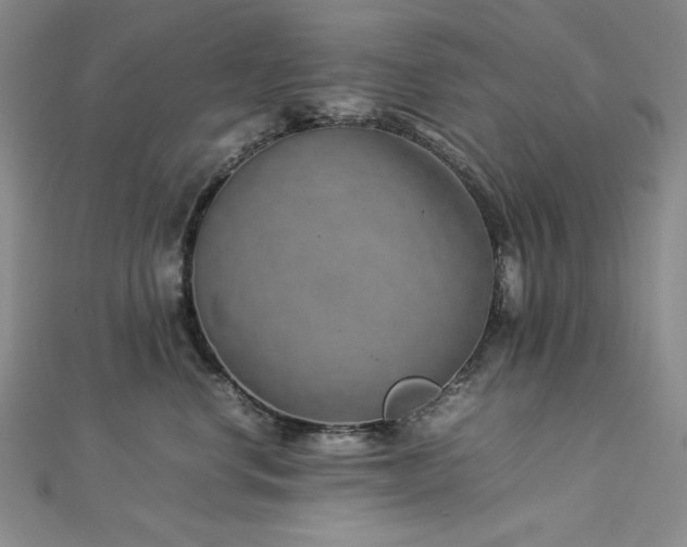 X0000113010668200908271410