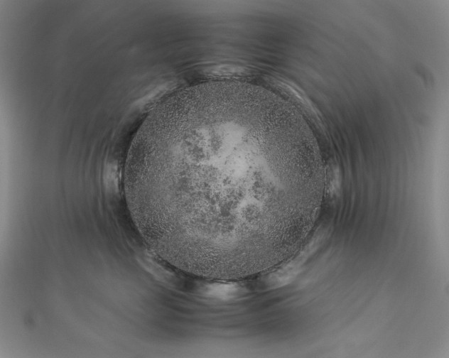 X0000113010669200908271410