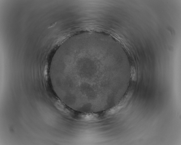 X0000113010670200908271410