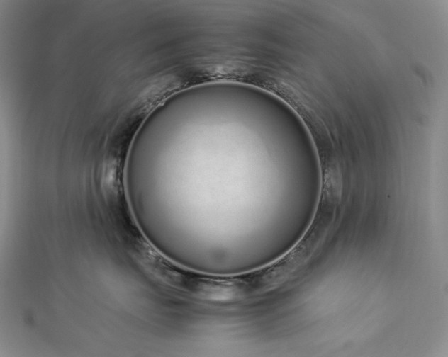 X0000113010671200908271410