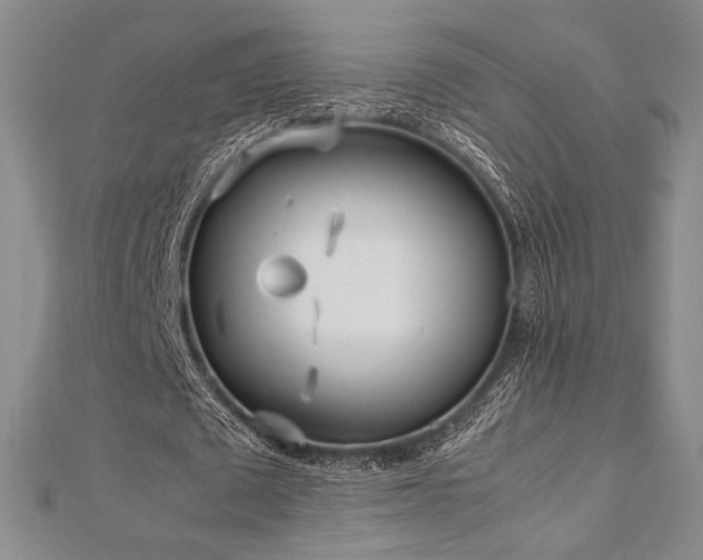 X0000113010673200908271409