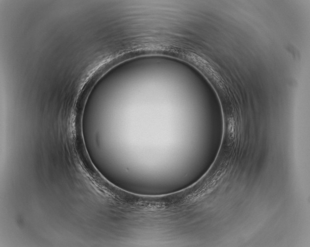 X0000113010676200908271409