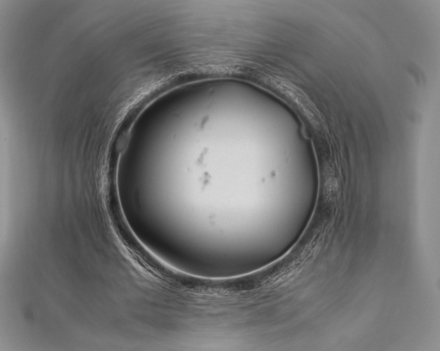 X0000113010677200908271409