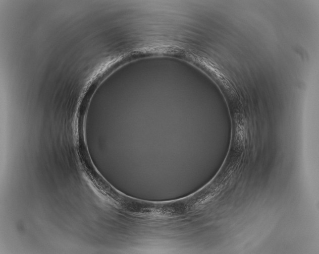 X0000113010678200908271409