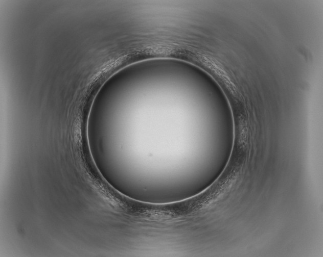 X0000113010681200908271409