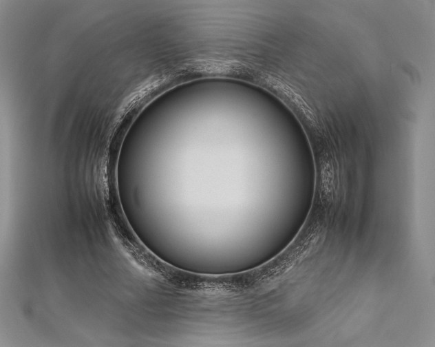 X0000113010682200908271409