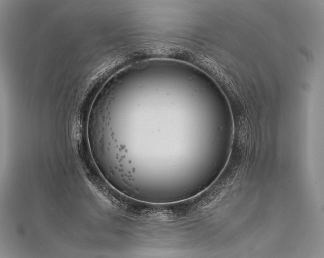 X0000113010683200908271409