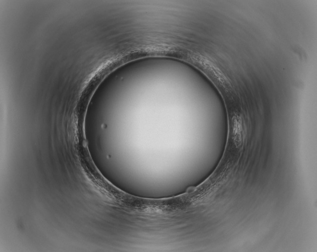 X0000113010684200908271409