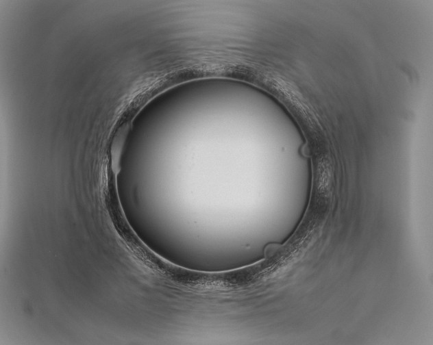 X0000113010685200908271409